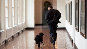 PHOTOS: White House East Wing before the demolition