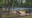 Pickleball vs. tennis: Vandalism reported at Fairfax County courts