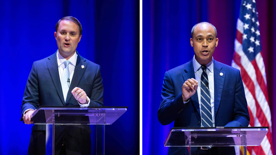 2025 Virginia attorney general election results