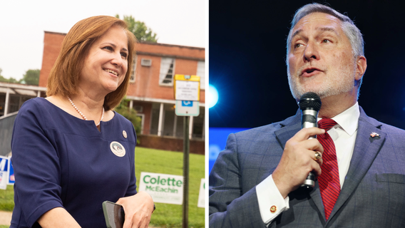 2025 Virginia lieutenant governor election results