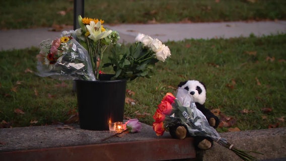 11-year-old girl struck, killed by school bus identified