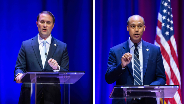 2025 Virginia attorney general election results