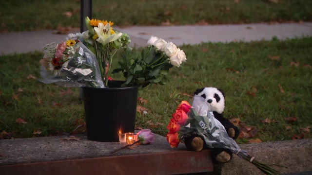 11-year-old girl struck, killed by school bus identified