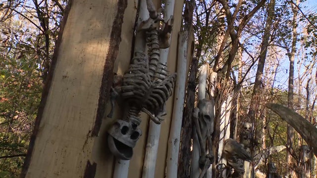 FOX 5 takes you inside Markoff’s Haunted Forest for Halloween thrills and chills