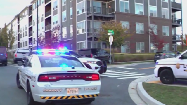 Woman in custody after standoff, alleged stabbing in Montgomery County: police