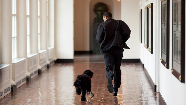 PHOTOS: White House East Wing before the demolition