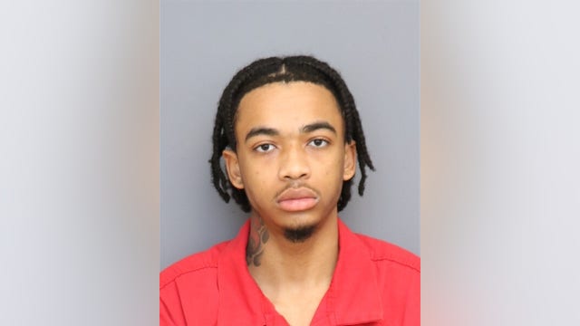 Maryland teen charged with stepfather's stabbing murder during argument: police