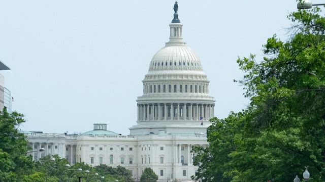 Government Shutdown 2025: DC communities stepping up