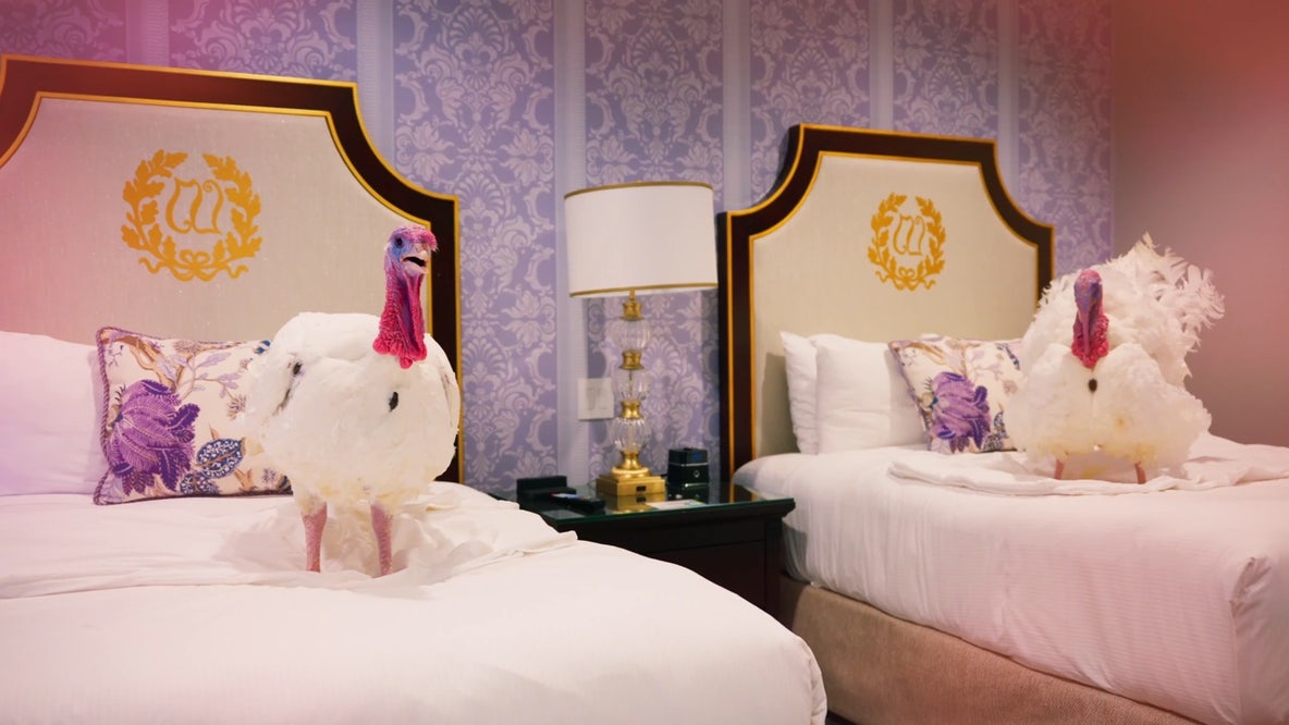 Presidential Turkey Pardons: Trump to spare Waddle, Gobble in White House tradition