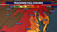 Fall foliage near its peak across the DMV: Here’s where to see the best color
