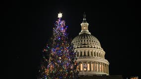 Holiday light shows across the DMV illuminate the winter season