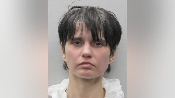 Woman accused of stabbing her 79-year-old mother to death at Fairfax County home