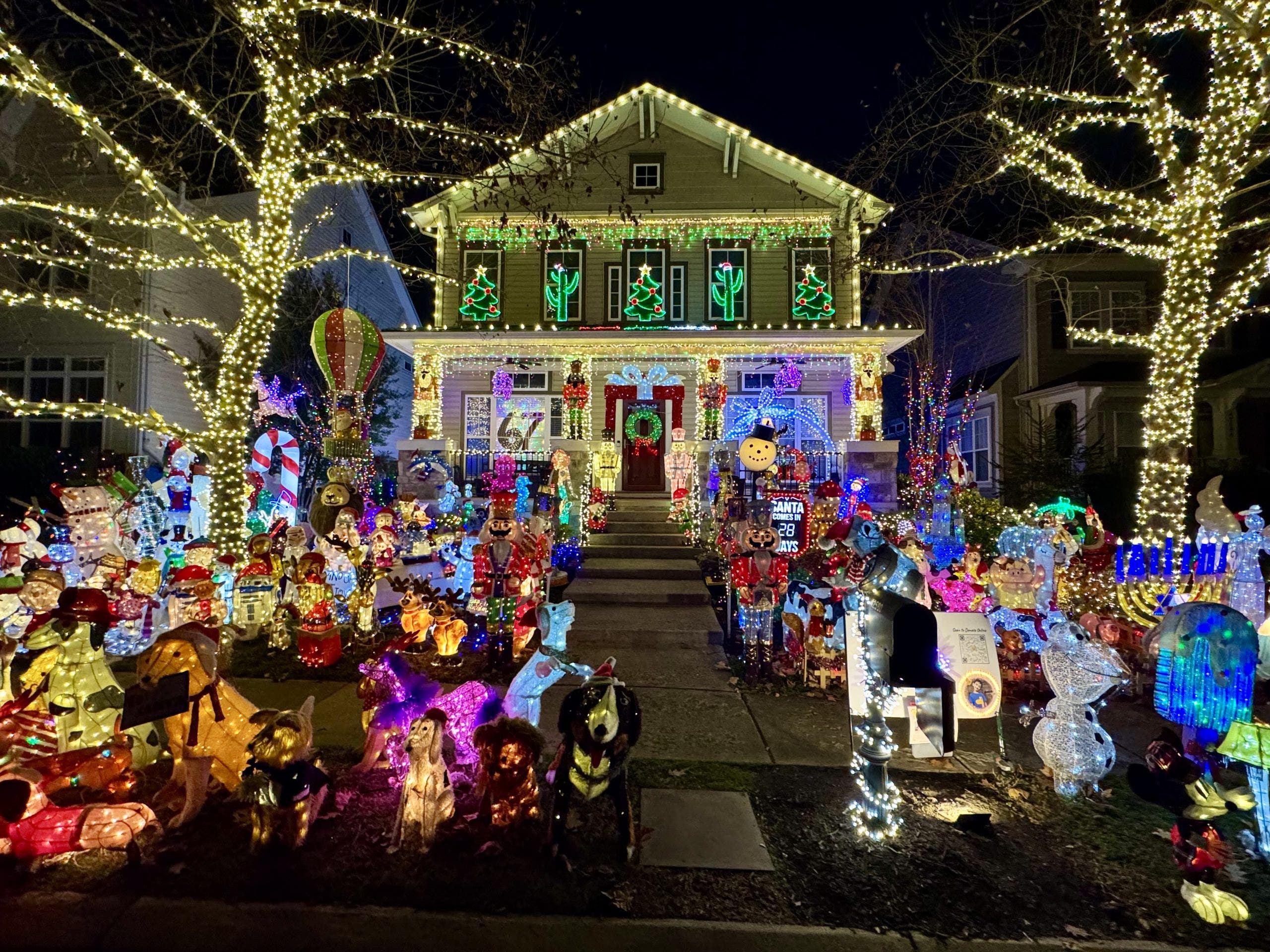 PHOTOS: Holiday lights around the DMV