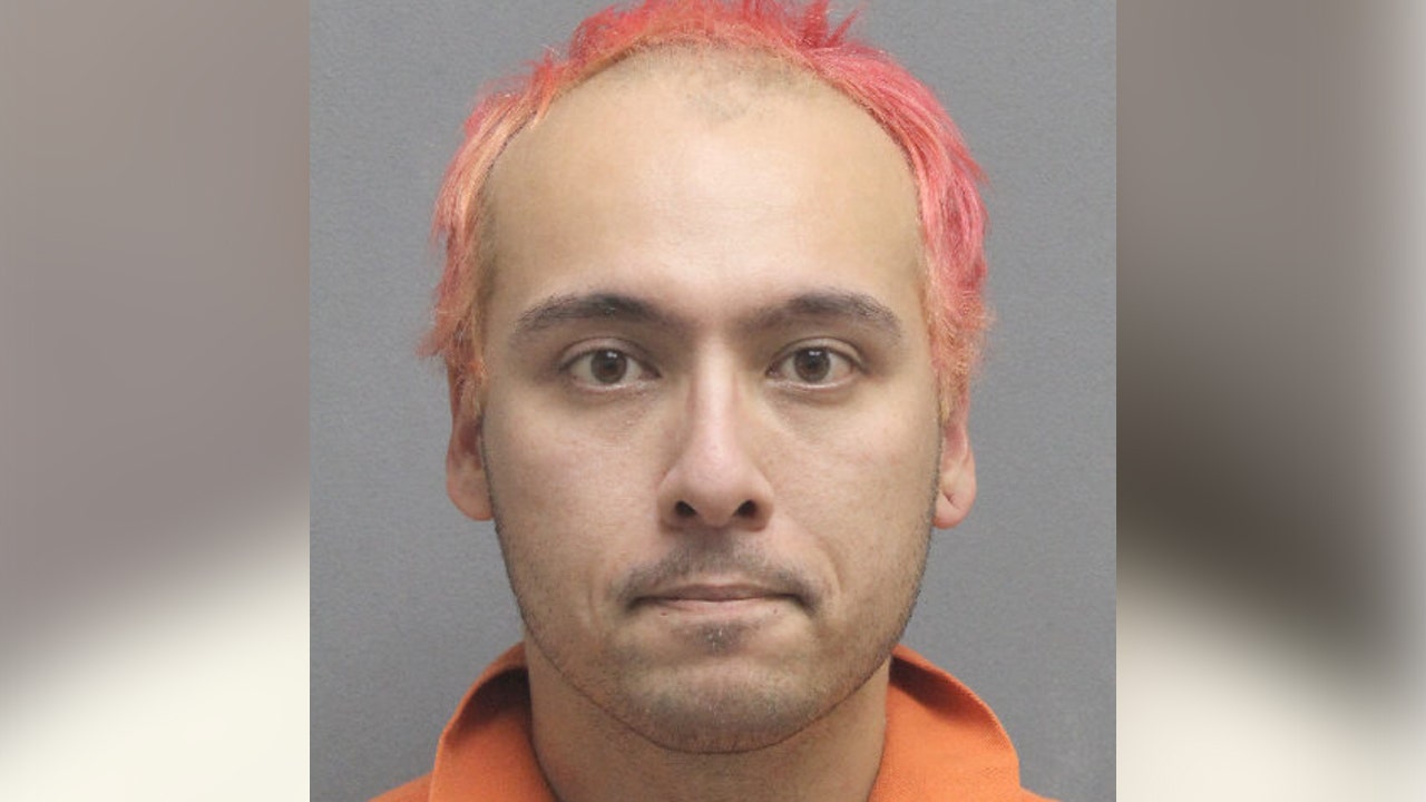 Virginia man pointed gun at driver, blocked him in road rage incident, police say