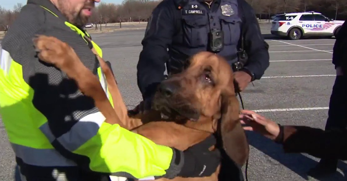 'It's a very amazing thing': DC police bloodhound helps find 2 missing people