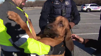 'It's a very amazing thing': DC police bloodhound helps find 2 missing people