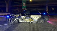 Maryland woman arrested after ramming VSP cruiser during Beltway pursuit: police