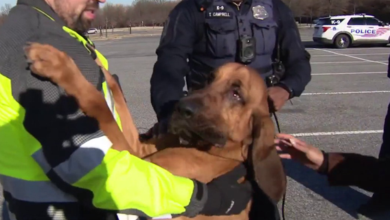 'It's a very amazing thing': DC police bloodhound helps find 2 missing people