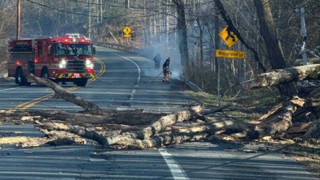 Wind gusts up to 50 mph could send outdoor items flying across DC region