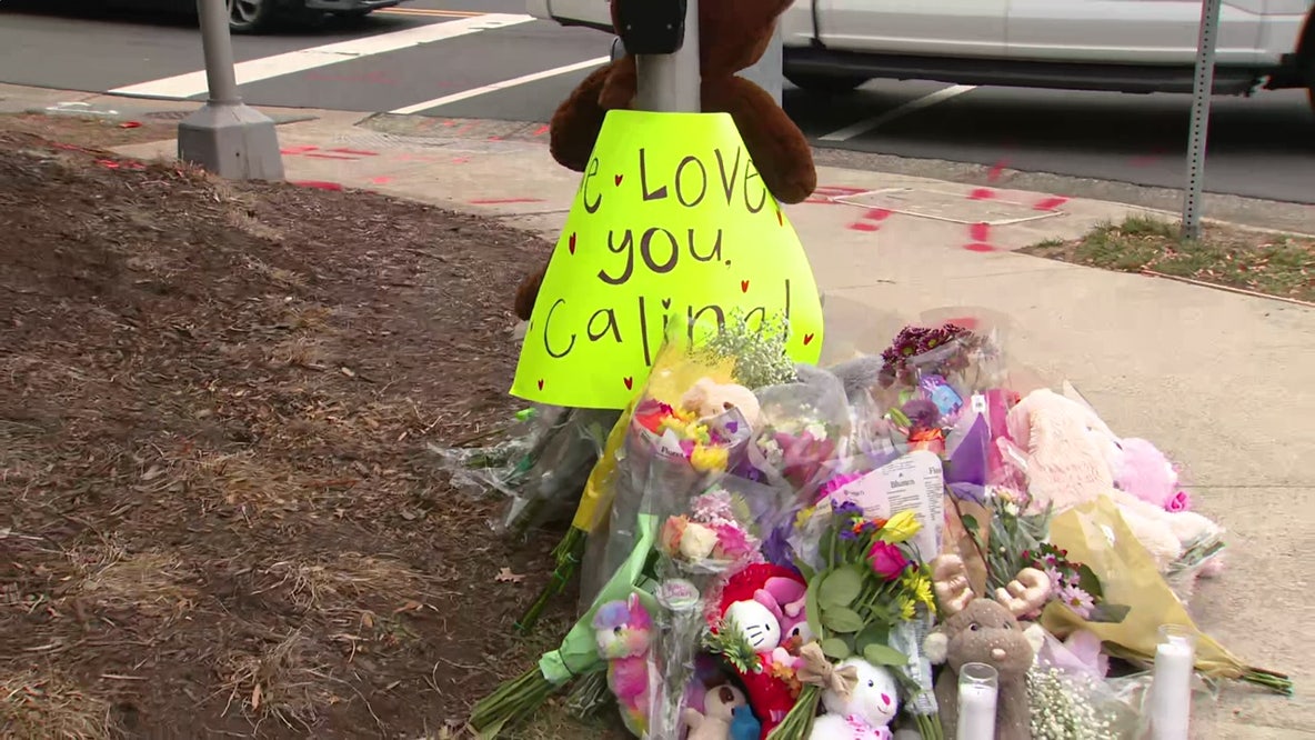 Stone Bridge High School student identified after being struck, killed in Loudoun County