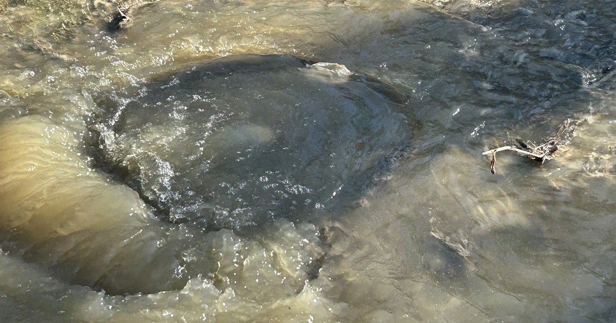 Class action lawsuit filed in wake of Potomac Interceptor collapse