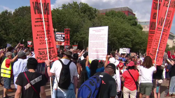 DC Council urges mayor, MPD to end cooperation with ICE following deadly shooting in Minneapolis