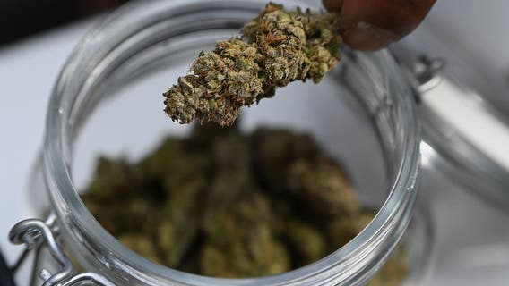 Nearly $1,400 worth of marijuana stolen from DC shop