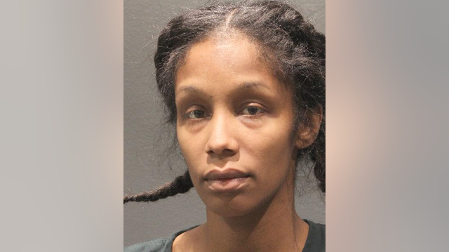 Drunk woman assaulted officer after hit-and-run in Arlington: police