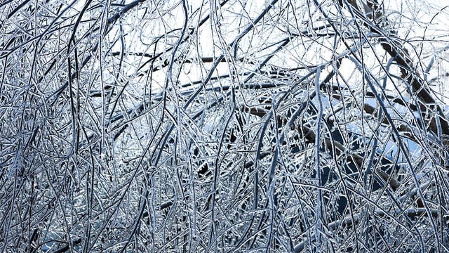 DC winter weather: Will insurance cover burst pipes, ice damage?