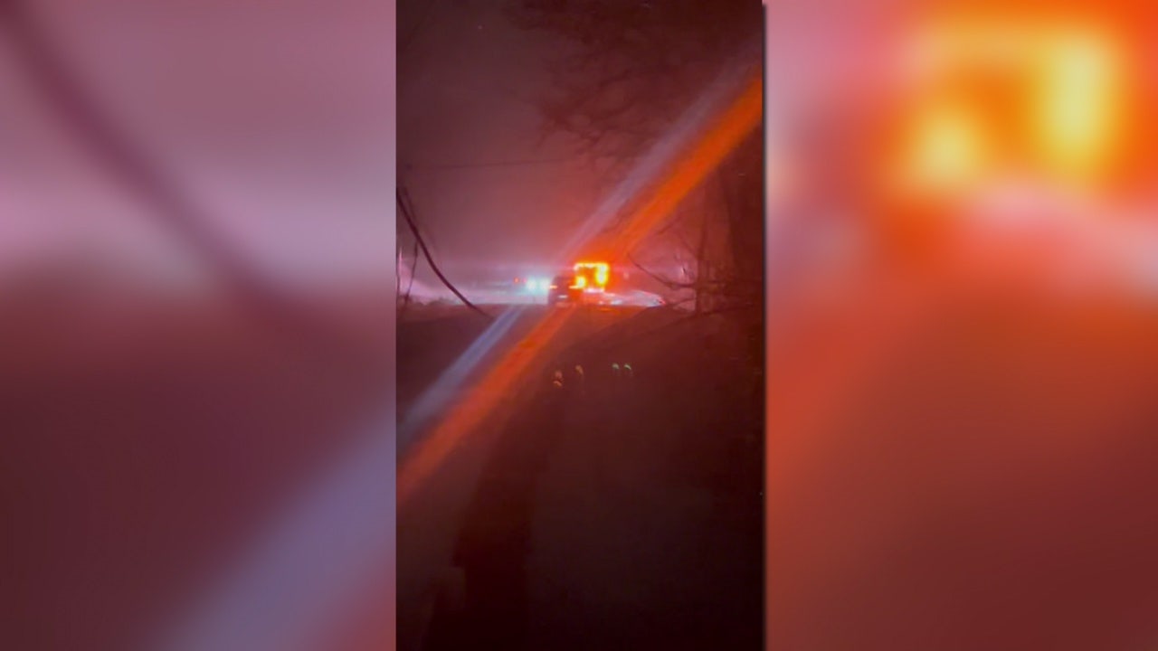 Police ID driver, passenger killed when falling tree smashes vehicle in Calvert County