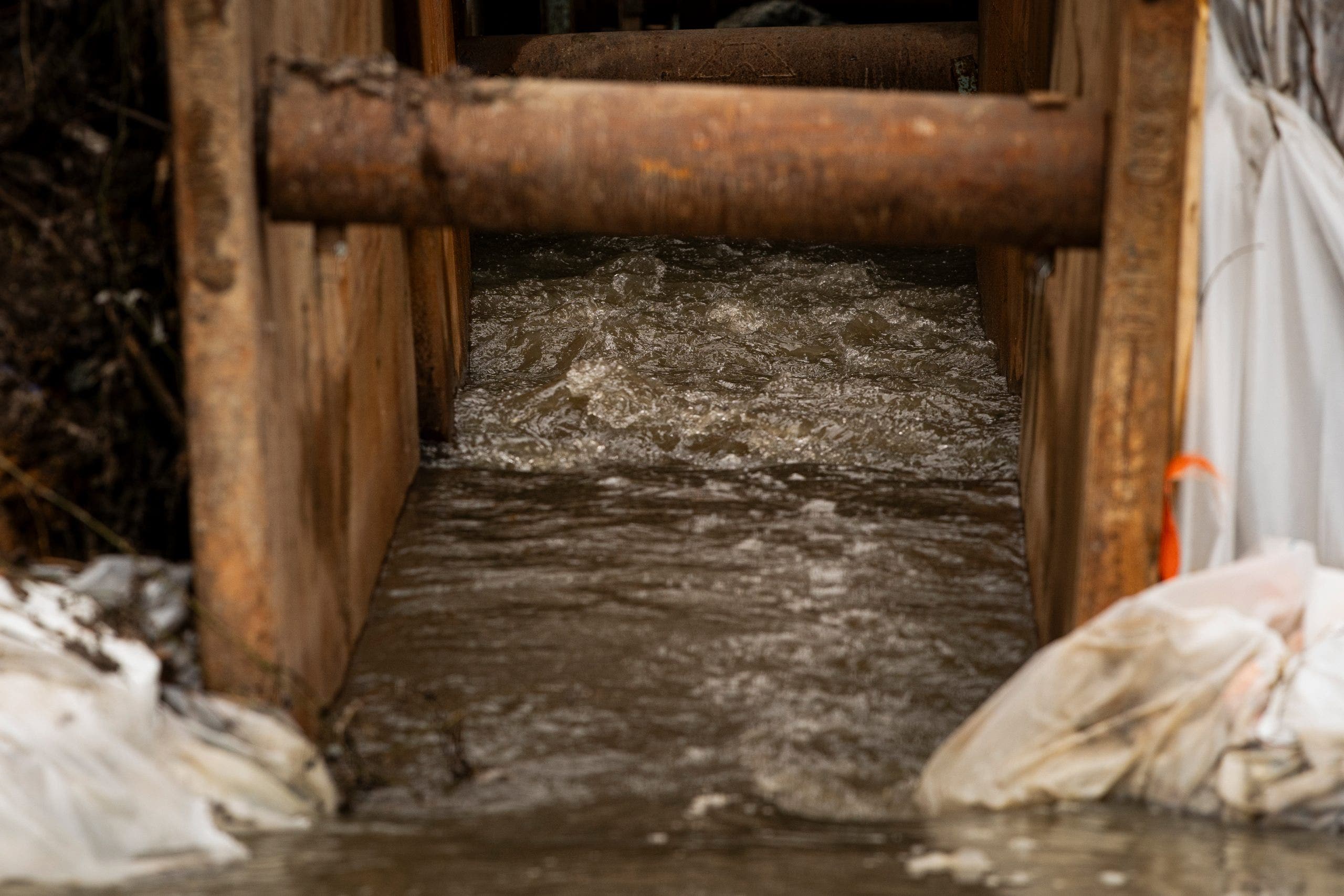 Potomac River could reopen to recreational use next week after sewage spill, officials say