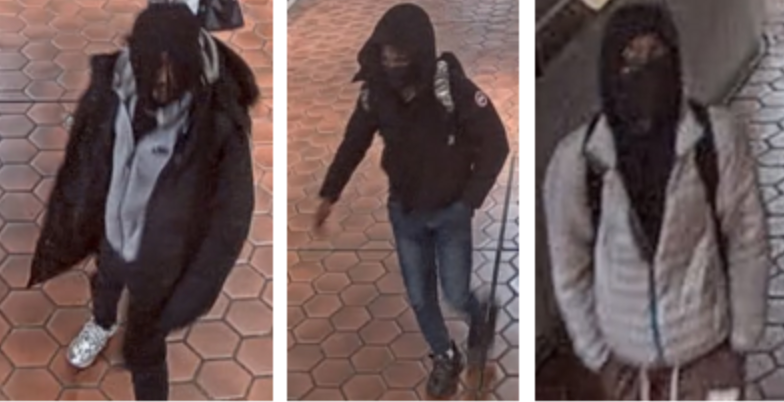 Woman fights off teens in Canada Goose coat robbery attempt