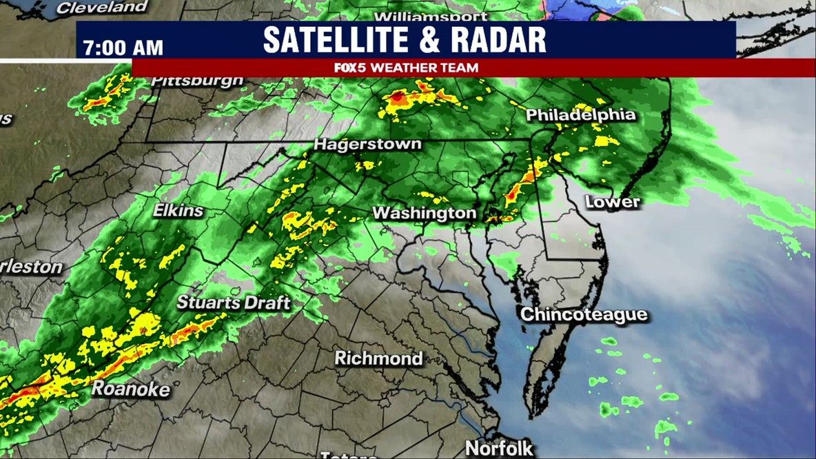 DC weather: Friday fog and rain