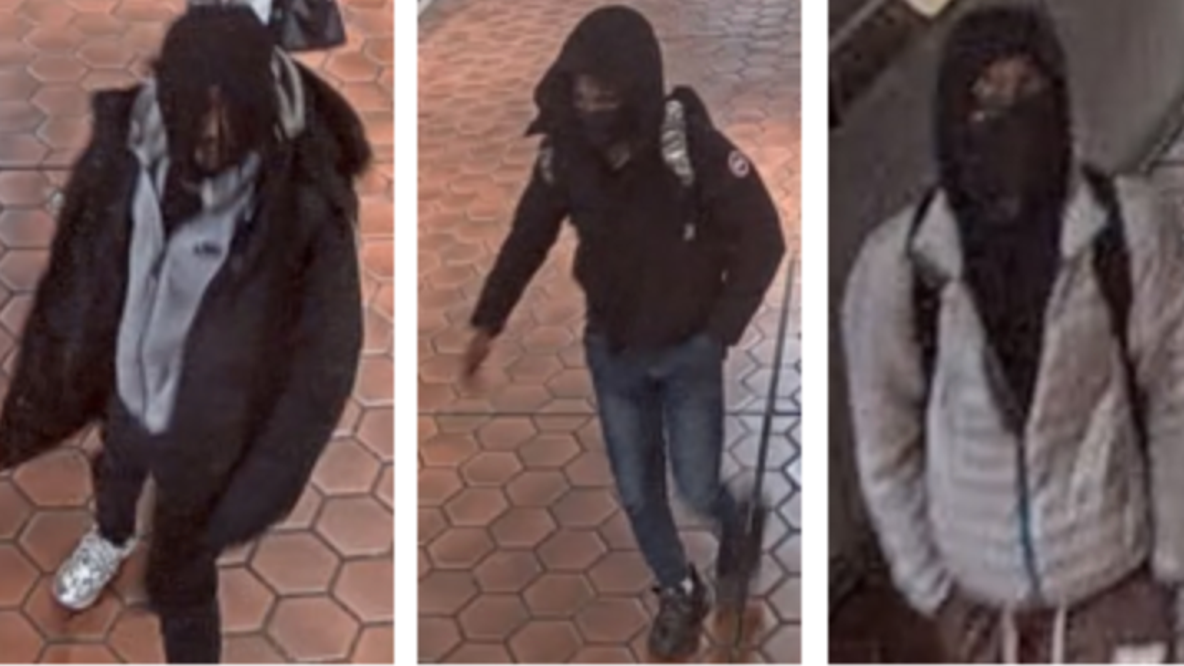 Woman fights off teens in Canada Goose coat robbery attempt