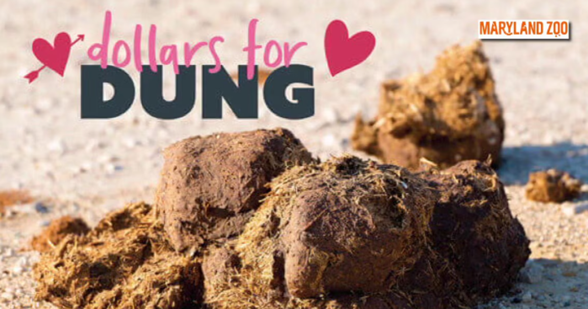 Maryland Zoo will name a pile of animal poop after your ex