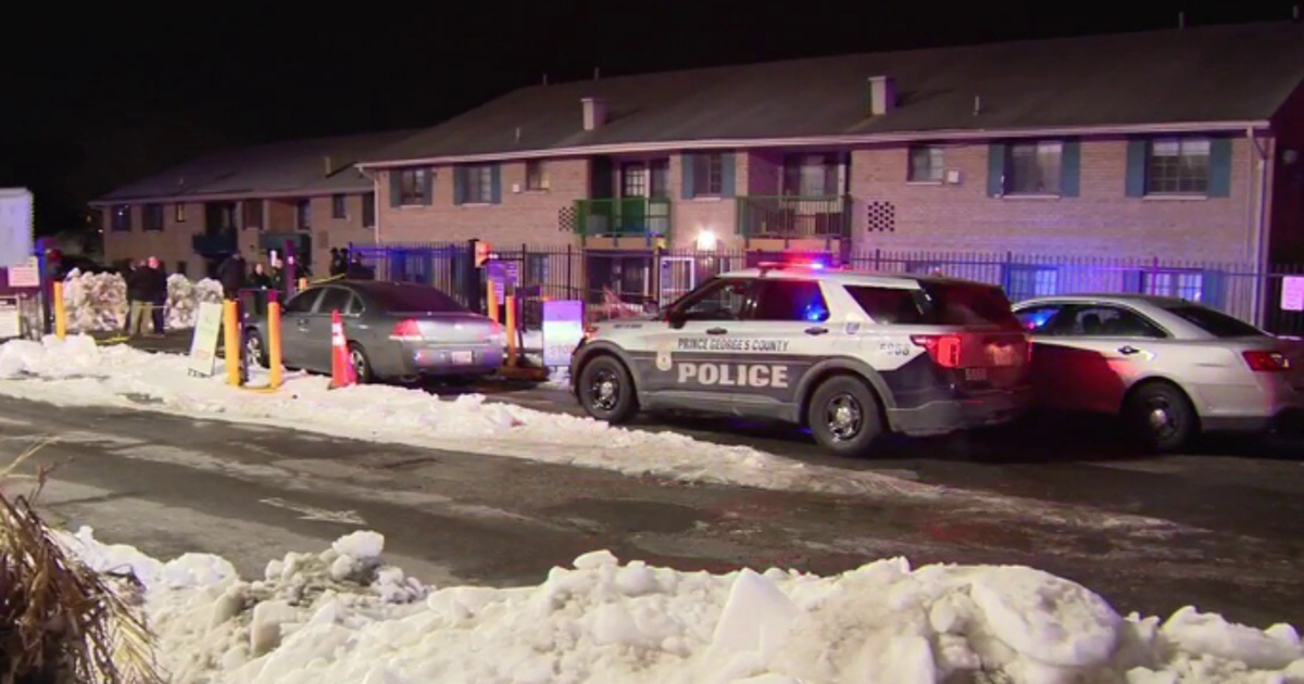 Man found shot to death in apartment complex stairwell, Prince George's ...