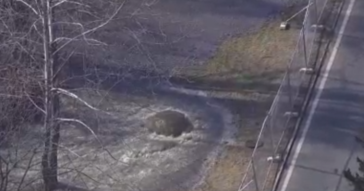 Maryland leaders push oversight after historic Potomac spill