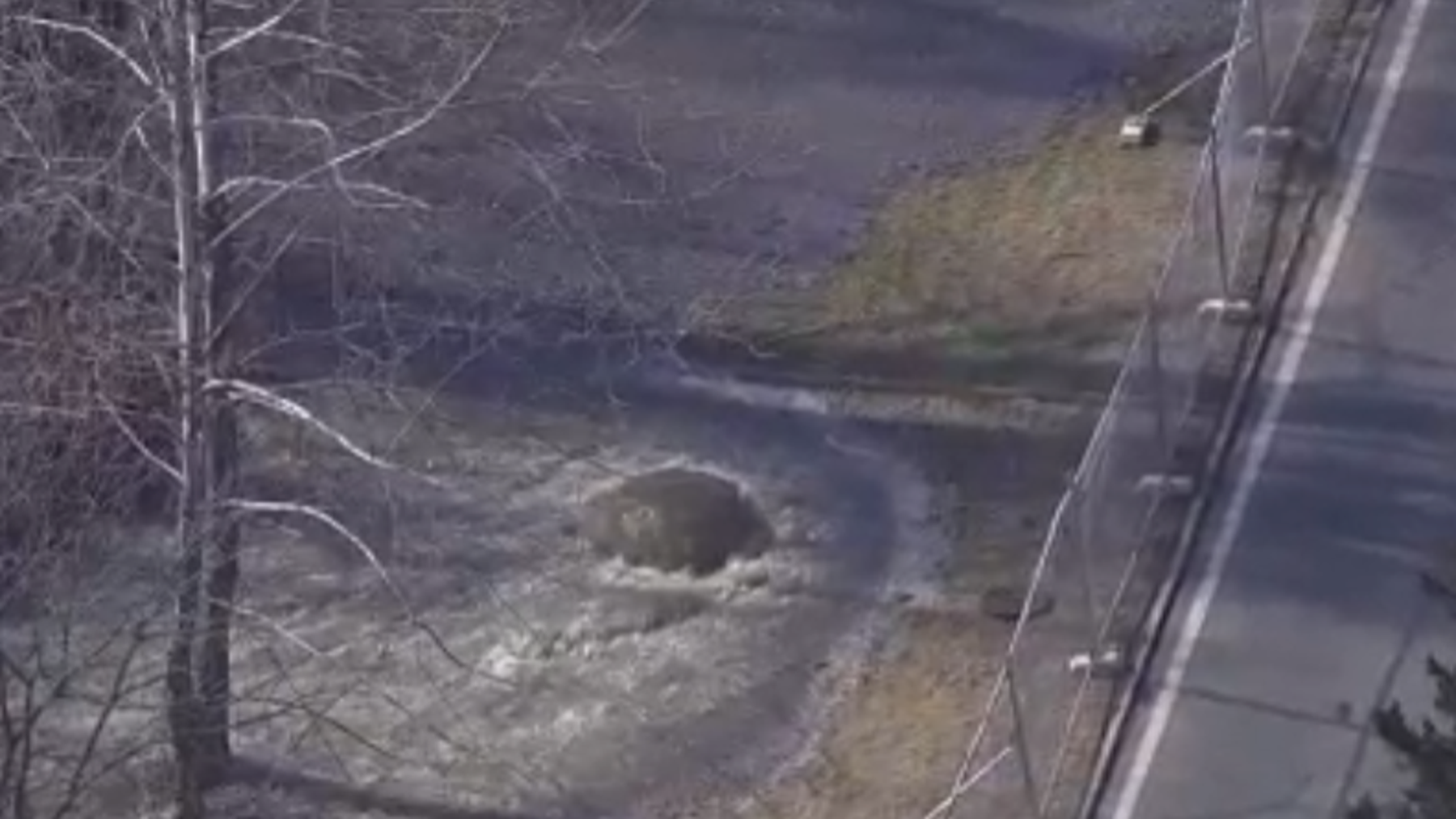 Maryland leaders push oversight after historic Potomac spill