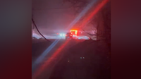 2 killed in Calvert County after tree falls on car amid snow storm