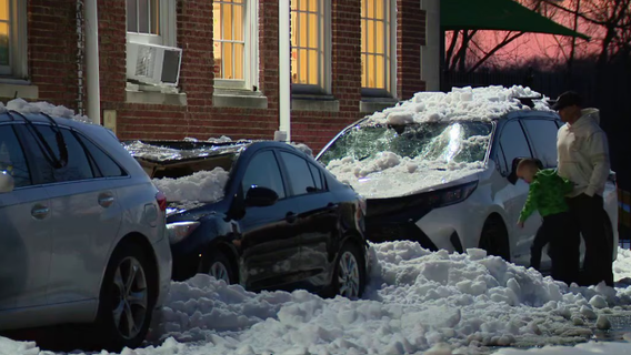 Fallen snow, ice crush cars outside DC elementary school