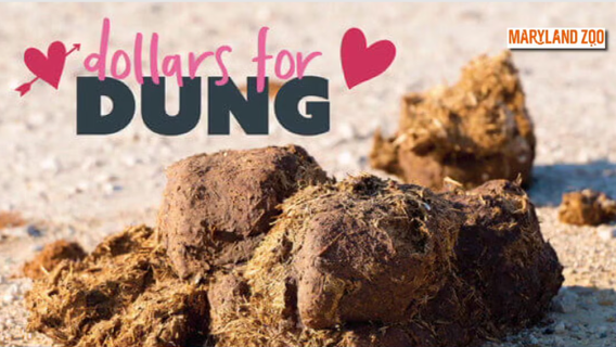 Maryland Zoo will name a pile of animal poop after your ex