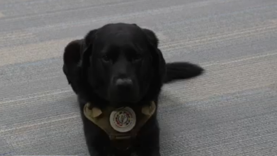 Meet Duke: The remarkable K-9 helping catch child predators in Frederick County