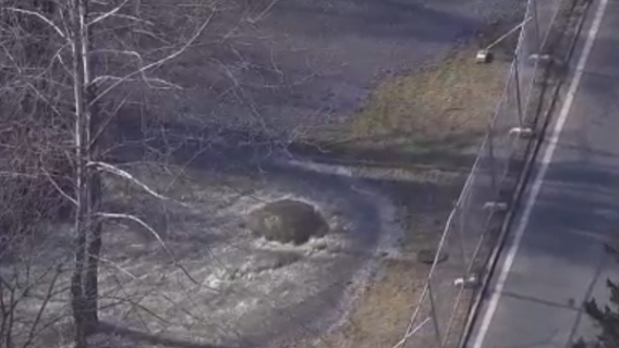 Maryland leaders push oversight after historic Potomac spill