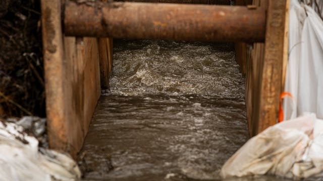 Potomac River could reopen to recreational use next week after sewage spill, officials say