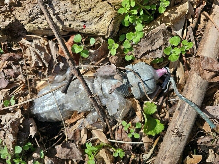 Fort Washington Park stays closed as more explosive devices found