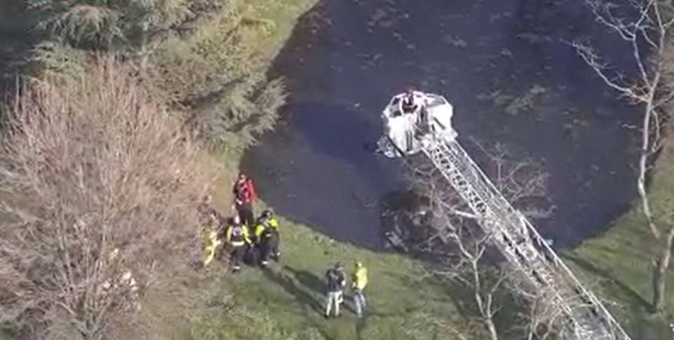 Father, 2 children escape car that plunged into pond in Frederick: officials