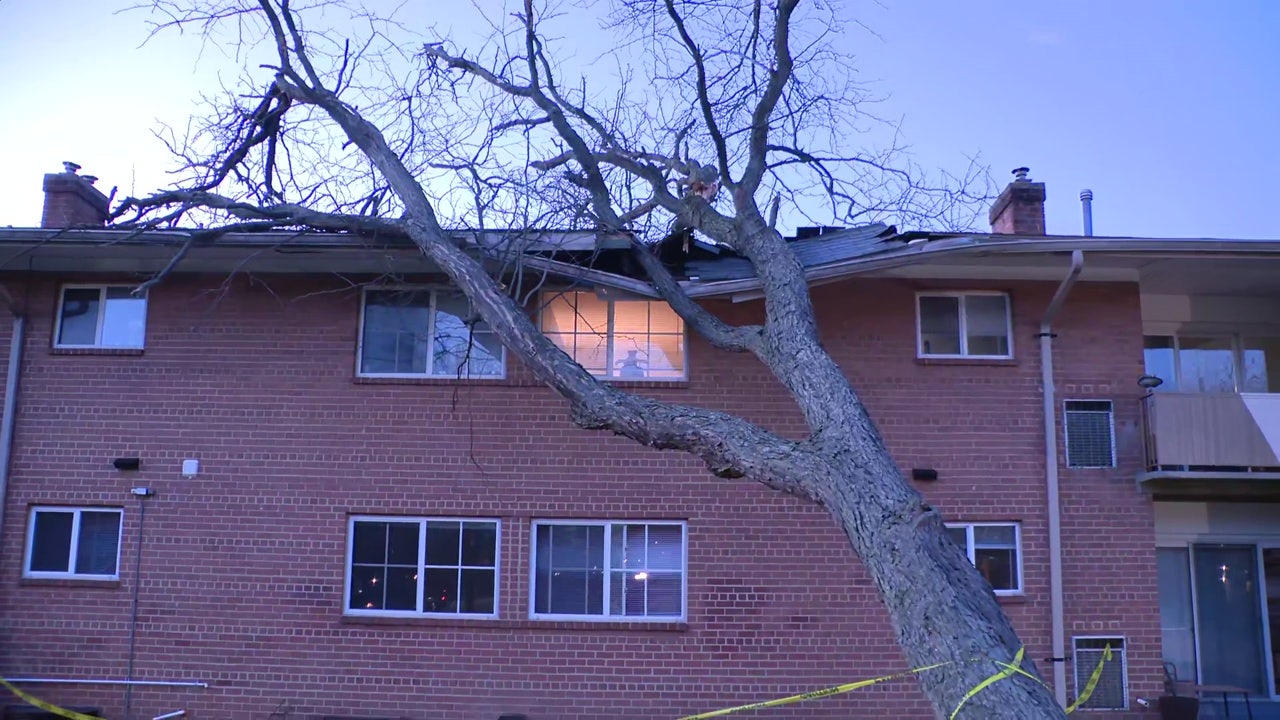Storm cleanup underway across the DMV after winds topple trees, power lines