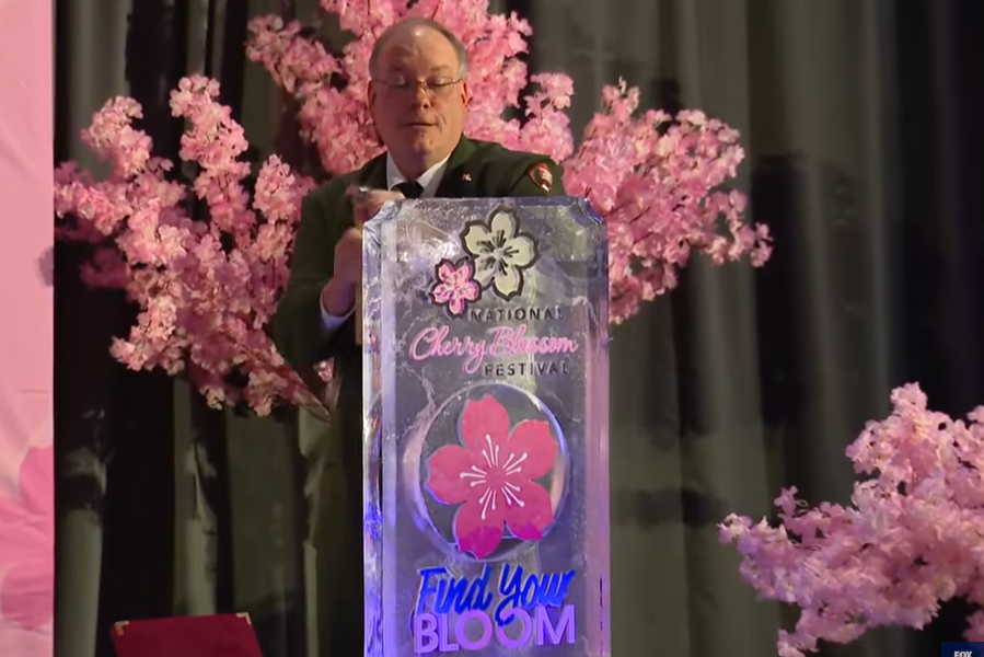 When is the Cherry Blossom Festival, peak bloom in DC? Here’s what to know for 2026