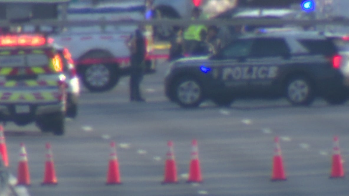 Dog killed in I-495 stabbings belonged to the suspect, Virginia State Police say