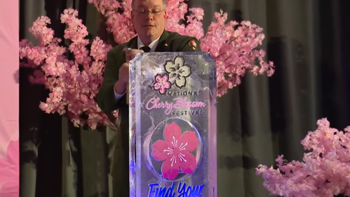 When is the Cherry Blossom Festival, peak bloom in DC? Here’s what to know for 2026